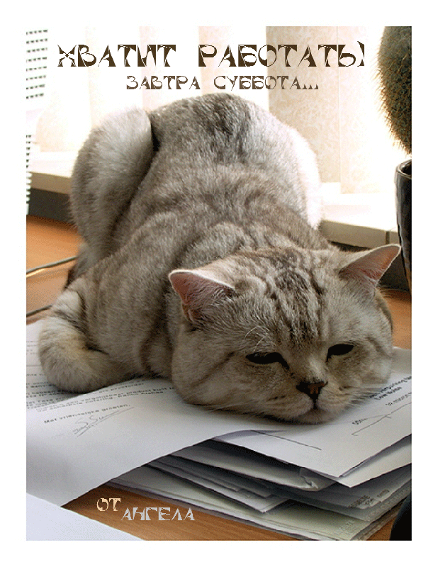 НБАТШТ РАЁФТАТЫ ЗАВТРА СУББОТА