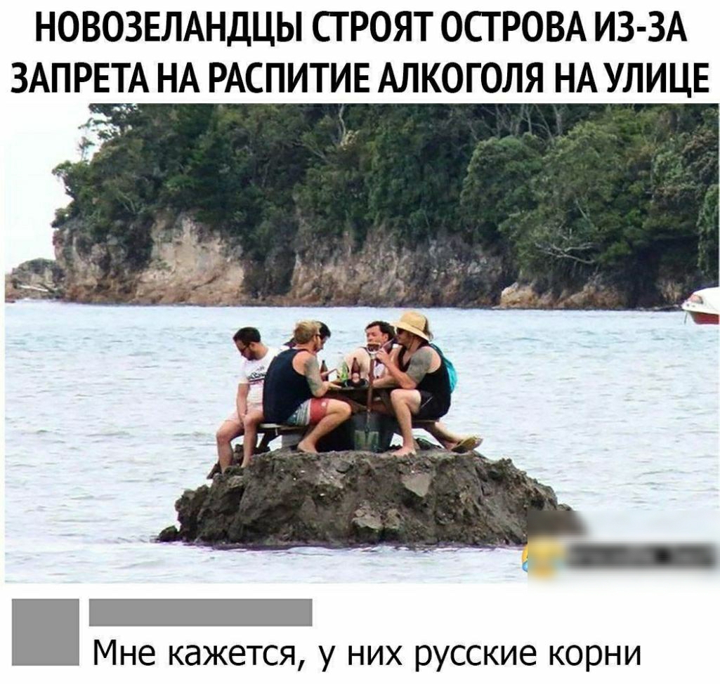 НОВОЗЕЛАНДЦЫ СТ РОЯТ ОСТРОВА ИЗ ЗА ЗАПРЕТА НА РАСПИТИЕ АЛКОГОЛЯ НА УЛИЦЕ П 1 Мне кажется у них русские корни