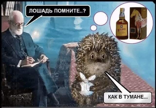 ЛОШАДЬ ПОМНИТЕ і КАК В ТУМАНЕ