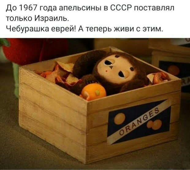До1967 года апельсины в СССР поставлял только Израиль Чебурашка еврей А теперь живи с этим