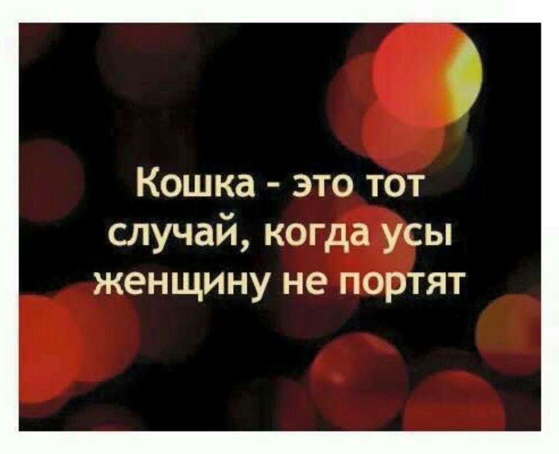 О Кошка это тот случай когда усы женщину не портят