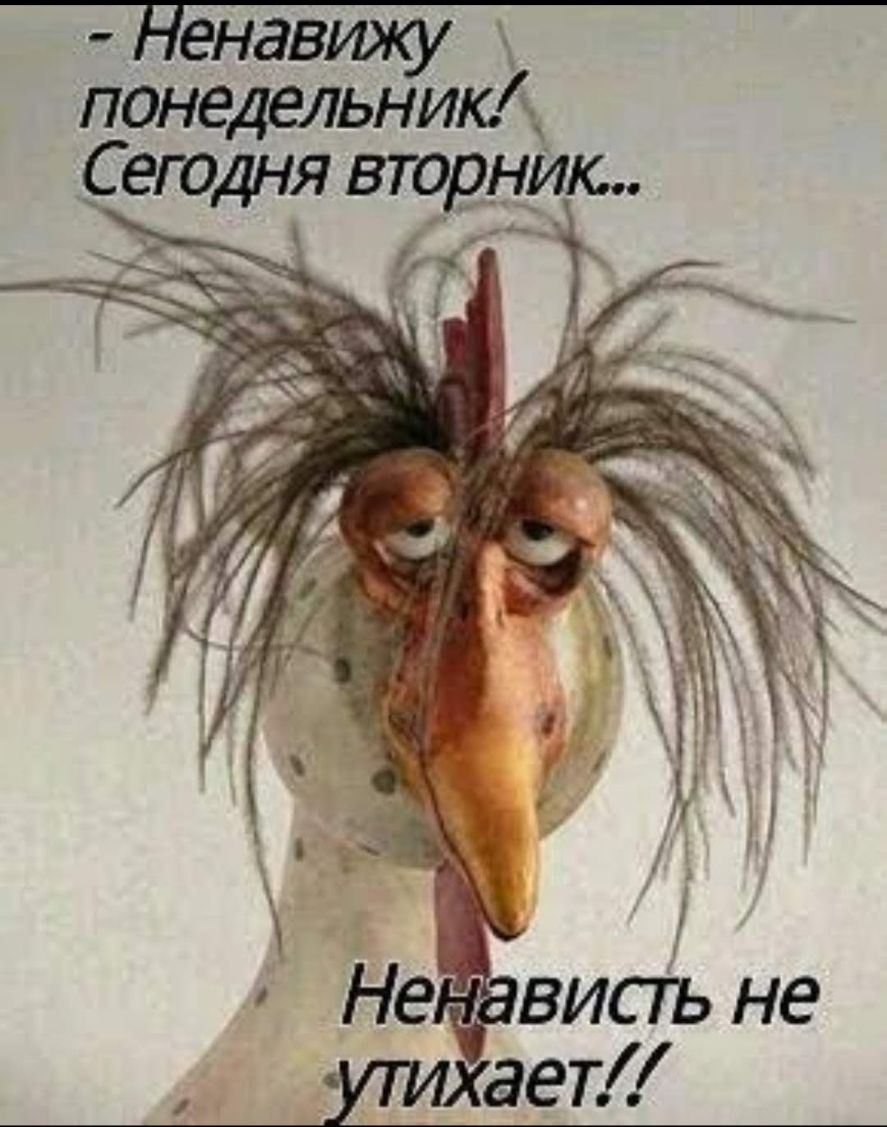 Ненавиху понедельник