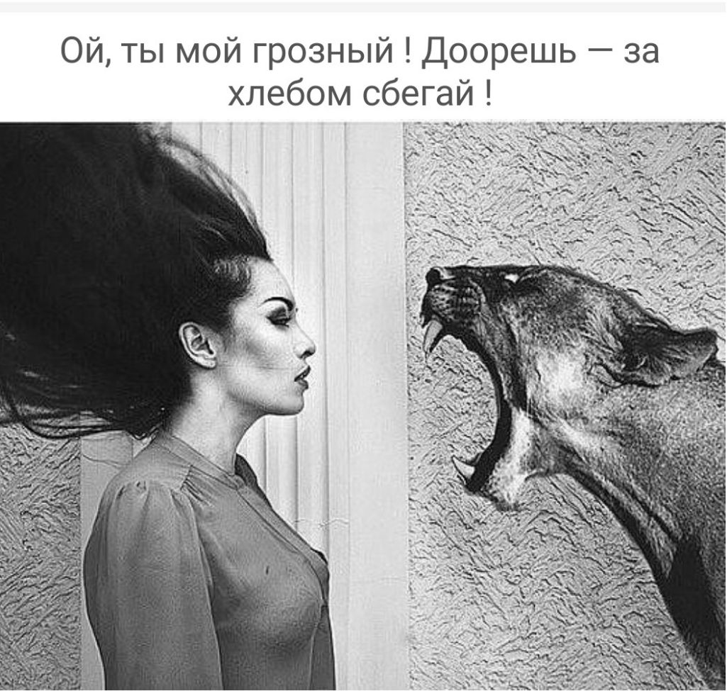 Ой ты мой грозный Доорешь за хлебом сбегай