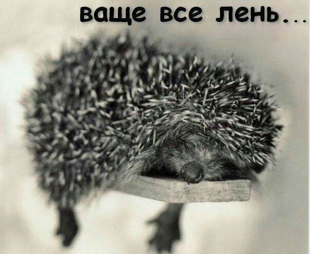 ваще все лень