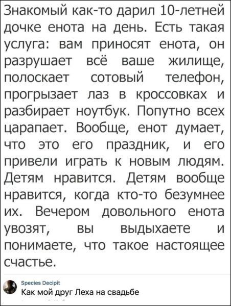 Знакомый както дарил 10 летней дочке енота на день Есть такая услуга вам приносят енота он разрушает всё ваше жилище полоскает сотовый телефон прогрызает паз в кроссовках и разбирает ноутбук Попутно всех царапает Вообще енот думает что это его праздник и его привели играть к новым людям Детям нравится Детям вообще нравится когда кто то безумнее их Вечером довольного енота увозят вы выдыхаете и пон