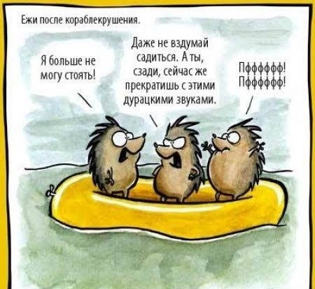 Ежи по кораблекрушения Дажг не вздумай Ябольше садитьсц Аты моку мы зади сйчдк ж ПРЕКШТМШЬ ЭТИМИ дурацкими звуками