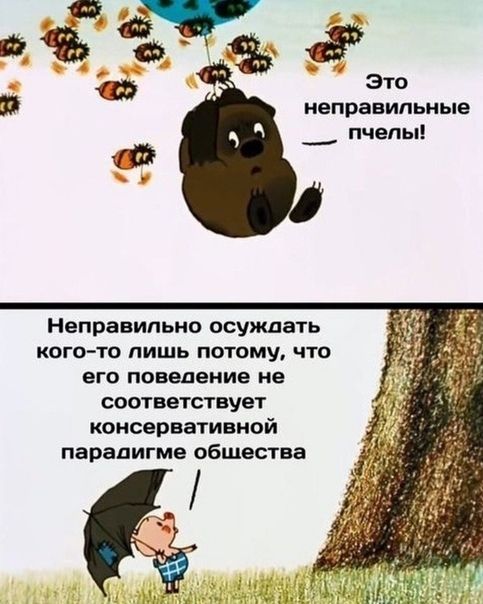 это неправильные пчелы Неправильно ОСУМЭТЬ кого то лишь потому что его поведение не СООТВЕТСТВУеГ КОНСВРВЗТИВМОЙ парадигме ОБЩЕСТЕЗ