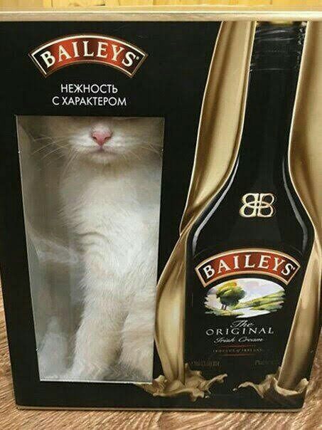 НЕЖНОСТЬ С ХАРАКТЕРОМ