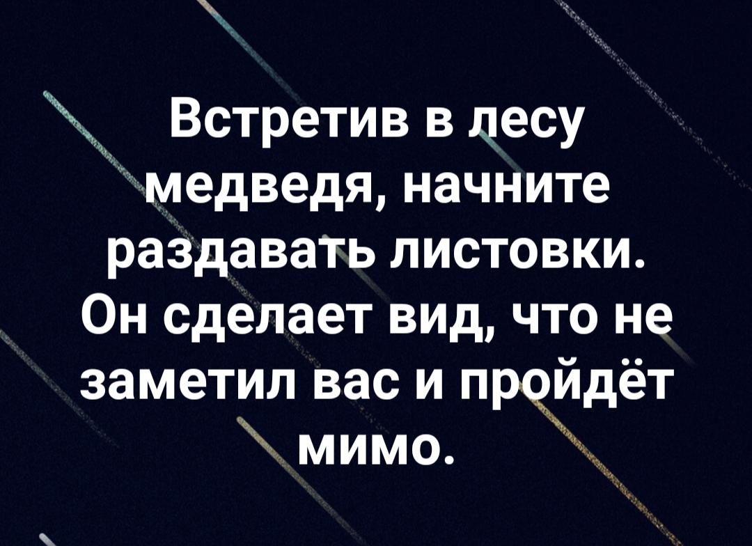 Встретив в цесу медведя начните раздавать листовки Он сделает вид что не заметил вас и пройдет мимо