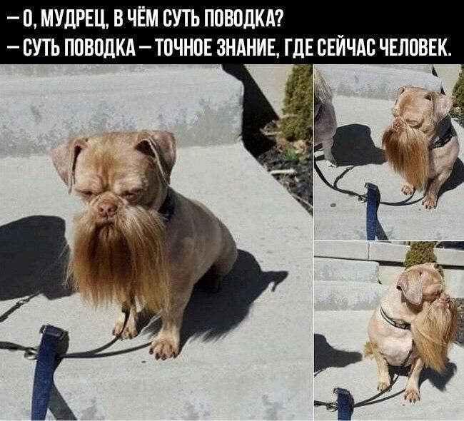 О МУДРЕЦ В ЧЕМ СУТЬ ПОВВДКА СУТЬ ППВВДКА ТОЧНОЕ ЗНАНИЕ ГДЕ СЕЙЧАС ЧЕЛОВЕК