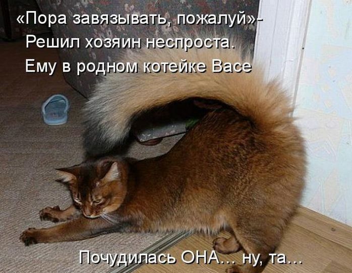 Пора завязыВатв пожалуй