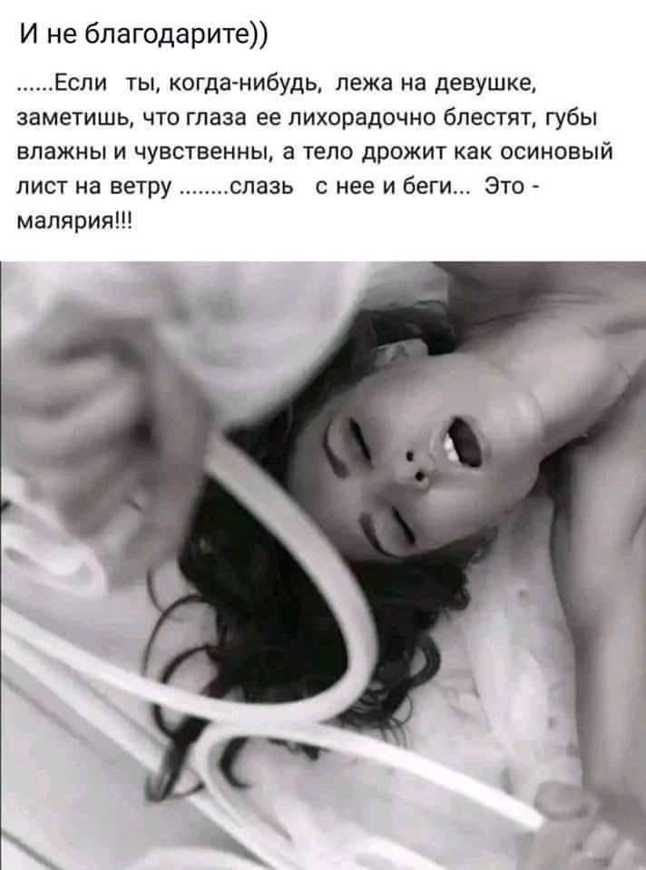 И не благодарите Если ты когда нибудь лежа на девушке заметишь что глаза ее лихорадочно блестят губы влажны и чувственны а тело дрожит как осиновый лист на ветру слазь нее и беги Это малярия