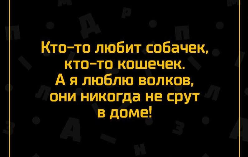 Кто то любит собачек кто то кошечек А я люблю волков они никогда не срут в доме