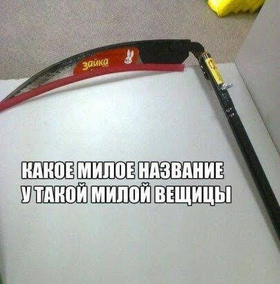 ШШШЁ ШЮЫЕШШЁШ ШТ ПШ