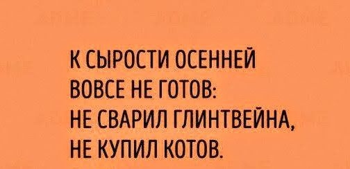 К СЫРОСТИ ОСЕННЕЙ ВОВСЕ НЕ ГОТОВ НЕ СВАРИЛ ГЛИНТВЕЙНА НЕ КУПИЛ КОТОВ