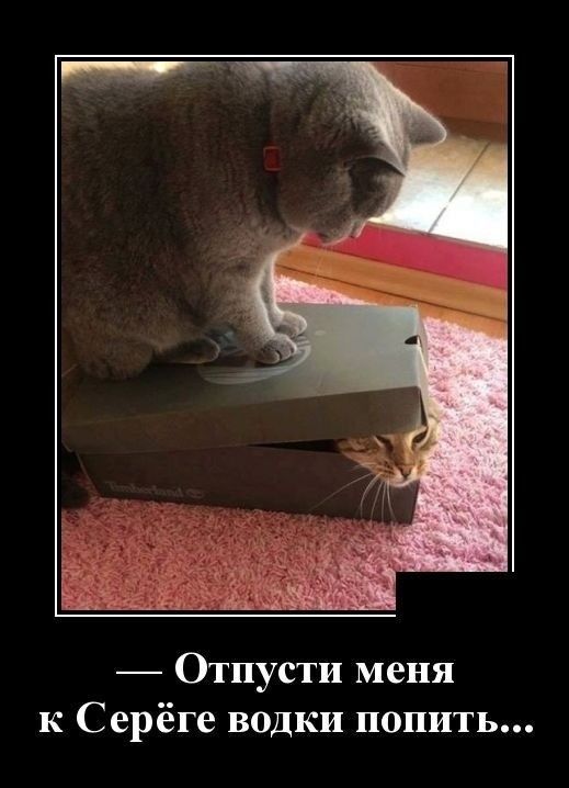 Отпусти меня к Серёге водки попить