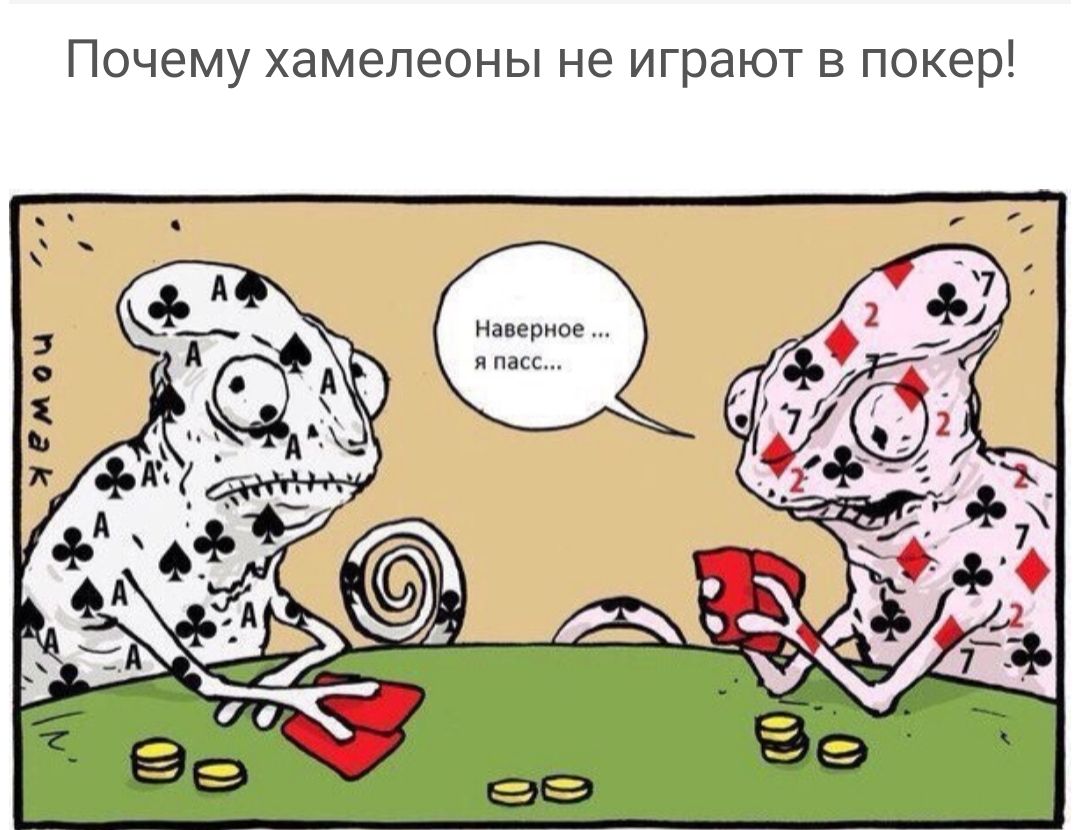 Почему хамелеоны не играют в покер