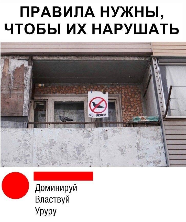 ПРАВИЛА НУЖНЫ ЧТОБЫ ИХ НАРУШАТЬ Доминируй Властвуй Уруру