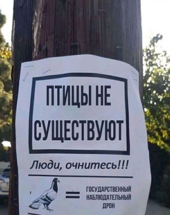 ПТИЦЫ НЕ ВУЩЕВТВУЮТ Люди очнитесь гпсушрствънныи _ ИДБЛЮЩТШЬНЫЙ Ё дюн
