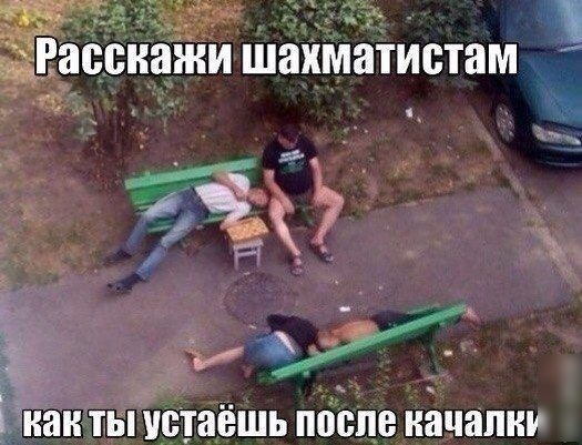 Васснажи шахматистам как ТЫ ЮТЯЁШЬ ПВЁПЁ качалку