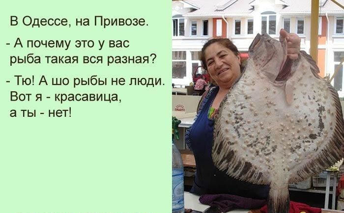 В Одессе на Привоза А почему это у вас рыба такая вся разная Тю А шо рыбы не люди Вот я красавица а ты нет