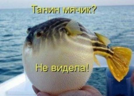 Танин г яик