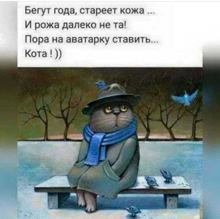 Бегут года стареет кожа И рожа далеко не та Пора на аватарку ставить Кота М И