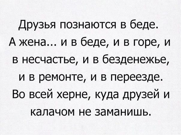 Друзья познаются в беде Ажена и в беде и в горе и в несчастье и в безденежье и в ремонте и в переезде Во всей херне куда друзей и калачом не заманишь