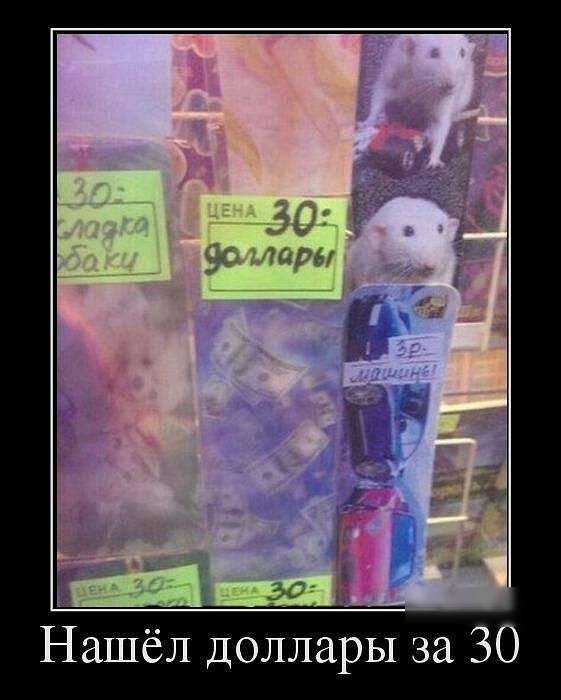 Нашёл доллары за 30