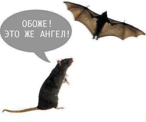 ОБОЖЕ ЭТО ЖЕ АНГЕЛ