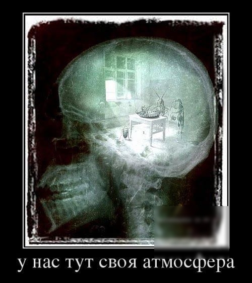 у нас тут своя атмосфера