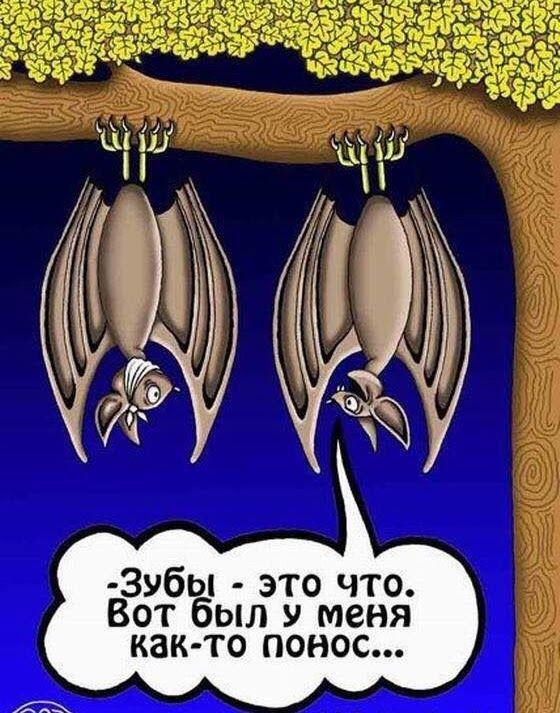 Л У меня как то ПОНОС о Т Ч 0 Т 3 Ы 6 У в Вот бы