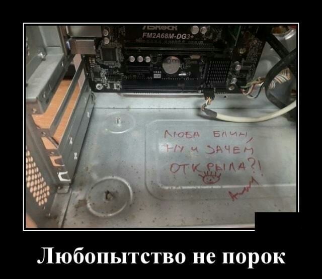 Любопытство не порок