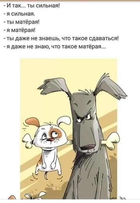 И так ты сильная П СИПЬНЗЯ ты матёрая я матёрая ты даже не знаешь что такое сдаваться я даже не знаю что такое матёрая