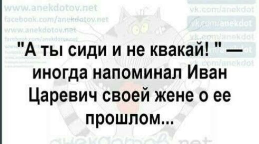 А ты сиди и не квакай иногда напоминал Иван Царевич своей жене о ее прошлом