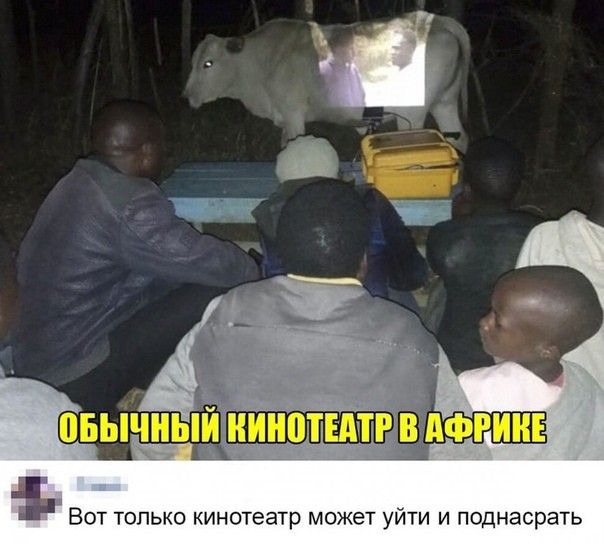 БОТ ТОЛЬКО кинотеатр МОЖЕТ УЙТИ И ПОДНЗСРЭТЬ