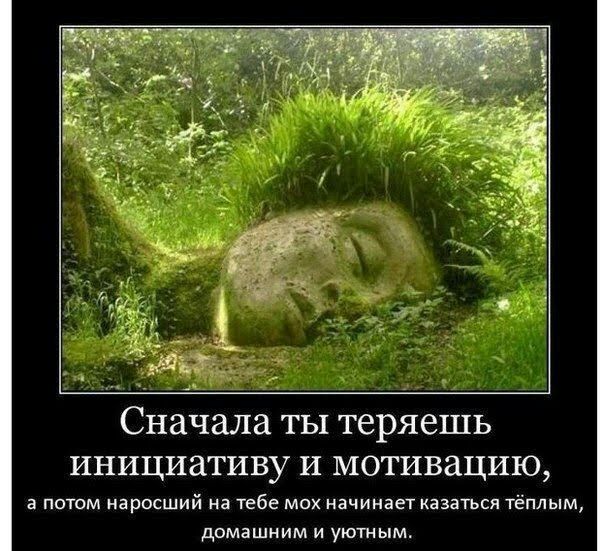 эфь Сначала ты теряешь инициативу и мотивацию а потом на росший на тебе мох начинает казаться тёплым домашним и уютным
