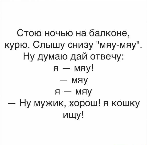 Стою ночью на балконе курю Слышу снизу мяу мяу Ну думаю дай отвечу я мяу мяу я мяу Ну мужик хорош я кошку ищу