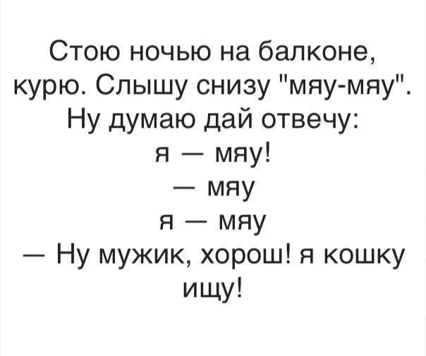 Стою ночью на балконе курю Слышу снизу мяу мяу Ну думаю дай отвечу я мяу мяу я мяу Ну мужик хорош я кошку ищу