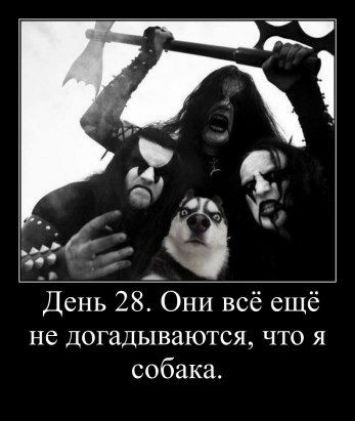 т День 28 Они всё ещё не догадываются что я собака