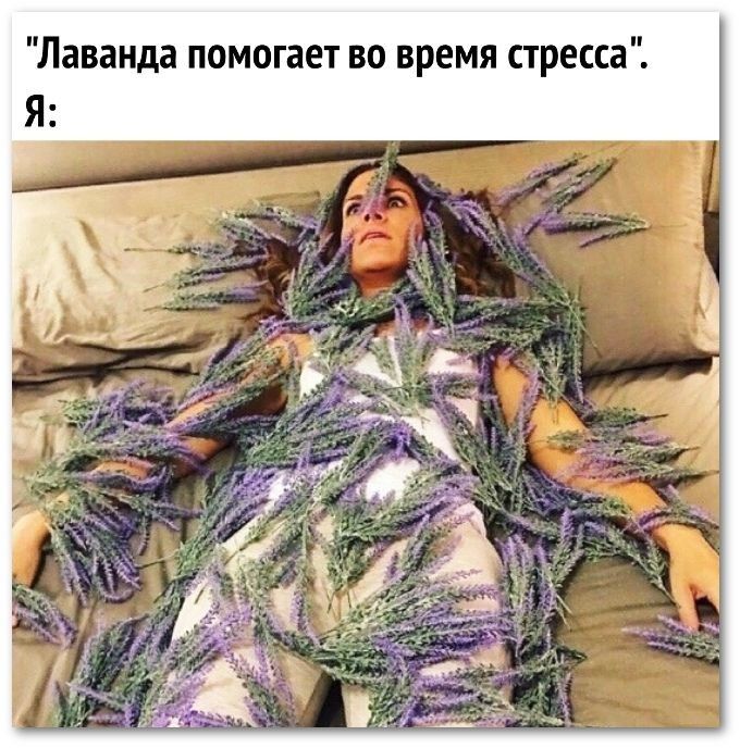 Лаванда помогает во время стресса