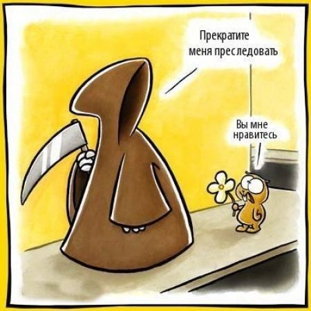Прэтт мени прскпедовдть Г 1 Вы мне нравитекь