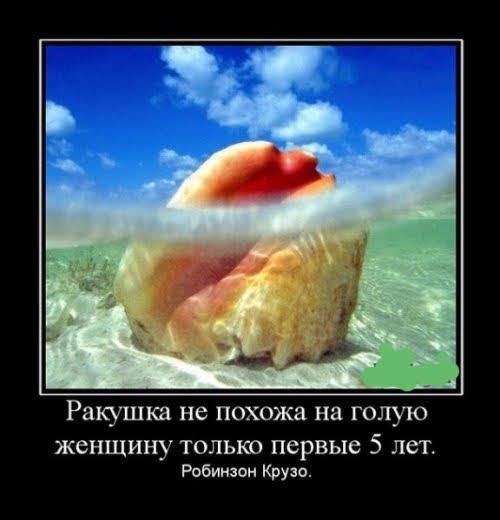 Ракушки не похожа на голую женщину ТОЛЬКО первые 5 лет Робинзон Крузо