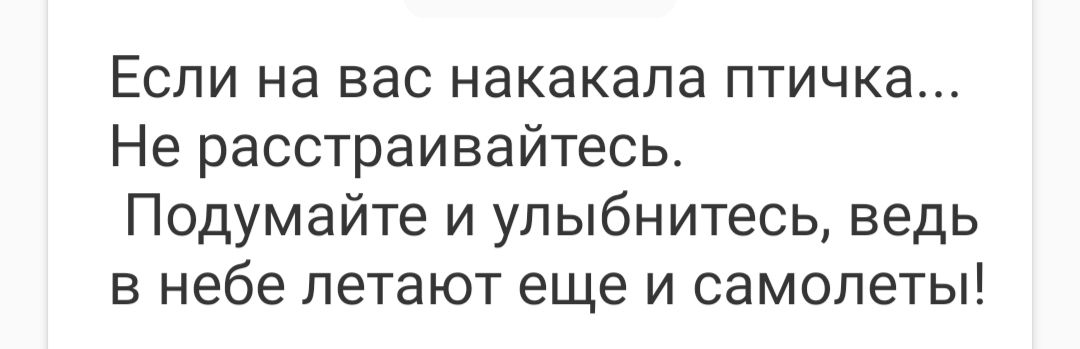 Если на вас накакала птичка Не расстраивайтесь Подумайте и улыбнитесь ведь в небе летают еще и самолеты