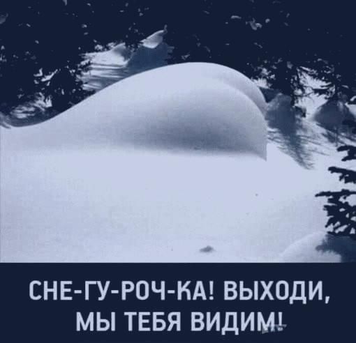 СНЕ ГУ РОЧ НА ВЫХОДИ МЫ ТЕБЯ ВИДИМ