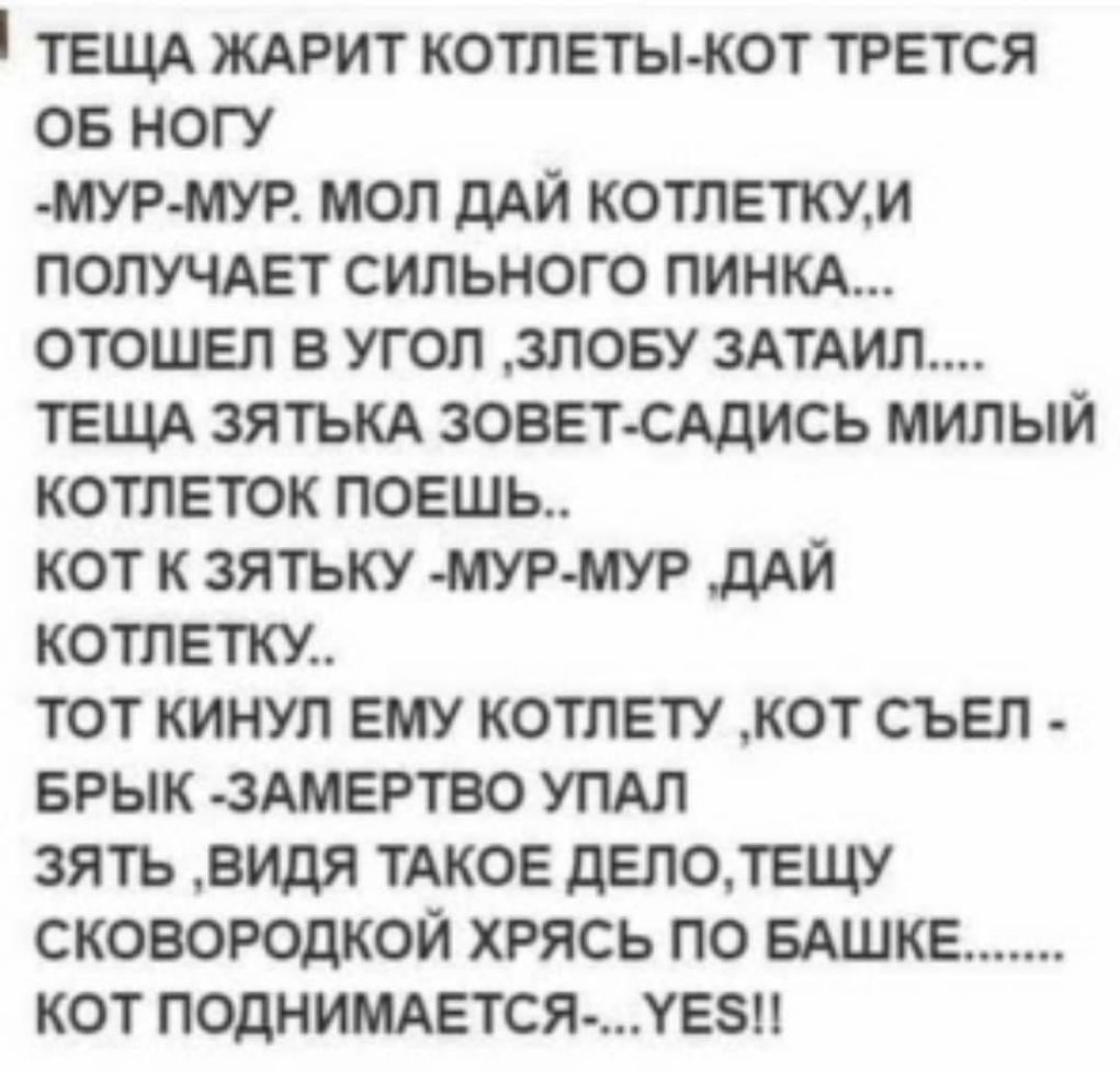 ТЕЩА ЖАРИТ КОТЛЕТЫКОТ ТРЕТСЯ ОБ НОГУ МУРМУР МОЛ дАЙ КОТЛЕТКУМ ПОПУЧАЕТ СИЛЬНОГО ПИНКА ОТОШЕП В УГОЛ ЗЛОБУ 3АТАИЛ ТЕЩА ЗЯТЬКА ЗОВЕТ САДИСЬ МИЛЫЙ КОТЛЕТОК ПОЕШЬ КОТ К ЗЯТЬКУ МУР МУР дАЙ КОТЛЕТКУ ТОТ КИНУЛ ЕМУ КОТЛЕТУ КОТ СЪЕЛ БРЫК ЗАМЕРТВО УПАЛ ЗЯТЬ видя ТАКОЕ дЕЛОТЕЩУ СКОВОРОДКОЙ ХРЯСЬ ПО БАШКЕ КОТ ПОДНИМАЕТСЯ ХЕЗН