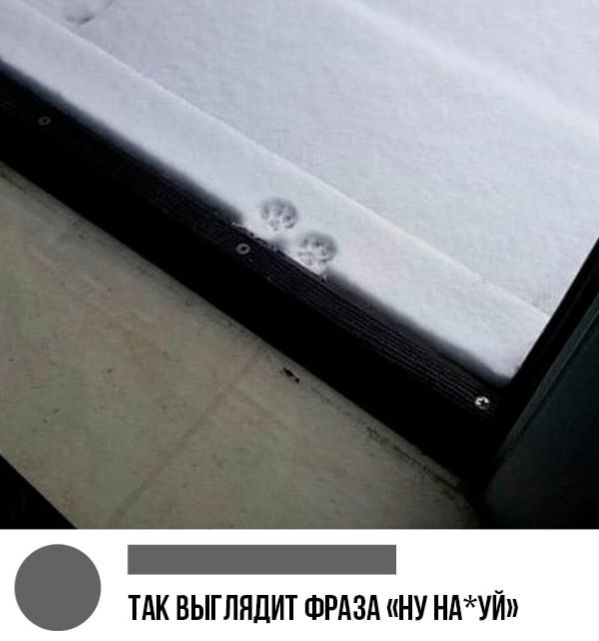 ТАК БЫГПНДИТ ФРАЗА НУ НАУЙ