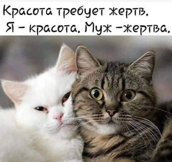 Красота требует жертв Я кэасота Мчж жертва