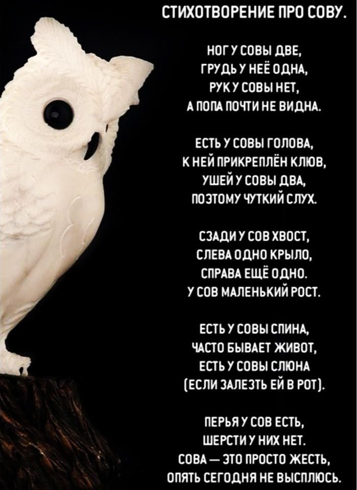 СТИХОТВОРЕНИЕ ПРО СОВУ ногусовы две грудь у нее однд гукусовы нет А пати почти не виднд есть у совы голам к ней прикреплен клюв ушей 7 совы двд позтому чуткий слух сздди У сов хвост спевд одно крыло СПРАВА ЕЩЁ одно у сов мшенький рост есть у совы спинд чдсто выедет живот есть у спвы слюнд если здлезть ей в гот ПЕРЬЯ У СОВ ЕСТЬ ШЕРСТИ У НИХ НЕТ СОВА ЭТО ПРОСТО ЖЕСТЬ ОПЯТЬ СЕГОДНЯ НЕ ВЫСПЛЮСЬ