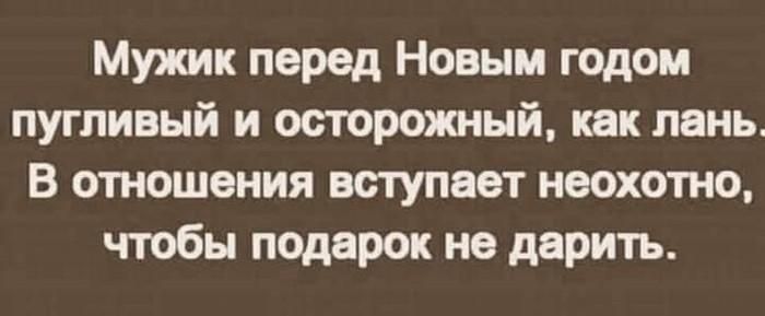 Мужик перед Новым годом пугливый и осторожный как лень В отношения вступает неохотно чтобы подарок на дарить